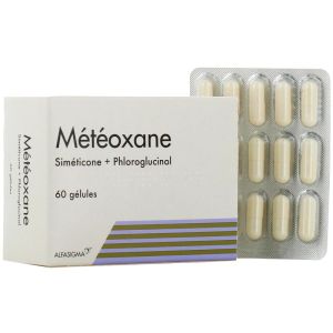 METEOXANE, 60 gélules