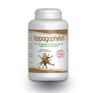 Harpagophytum 200 gélules 330mg GPH