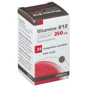 VITAMINE B12 GERDA 250 microgrammes, comprimé sécable