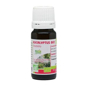 Eucalyptus Radié Huile essentielle 10ml BIO